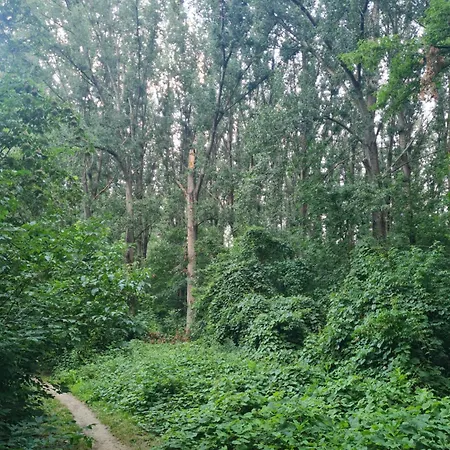 Lacilak 度假居 *